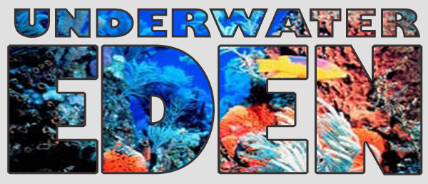 underwatereden underwatereden